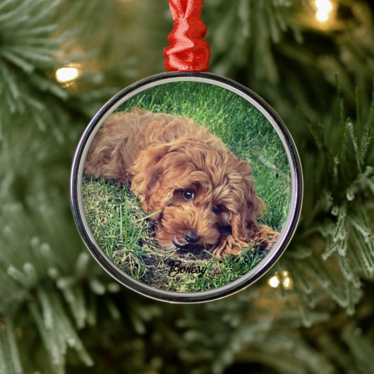 Ornement En Métal Joli Golden Doodle Premium (Arbre)