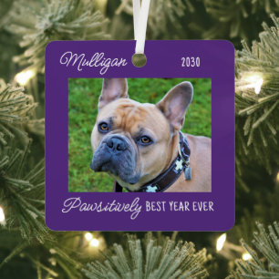 Ornement En Métal Jolie photo de chien en quarantaine Noël violet