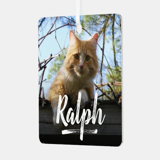 Ornement En Métal Jouer Lettering Pet Photo Noël (Avant gauche)