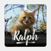 Ornement En Métal Jouer Lettering Pet Photo Noël (Verso)