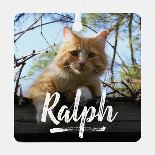 Ornement En Métal Jouer Lettering Pet Photo Noël (Verso)