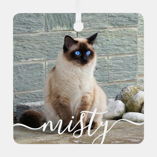 Ornement En Métal Jouer Script Pet Photo Noël (Recto)