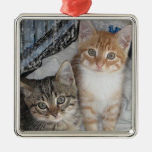 Ornement En Métal Just Kittens