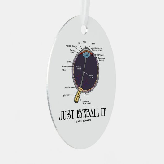 Ornement En Métal Juste Eyeball It Human Eye Anatomie Geek Conseils (Avant droite)