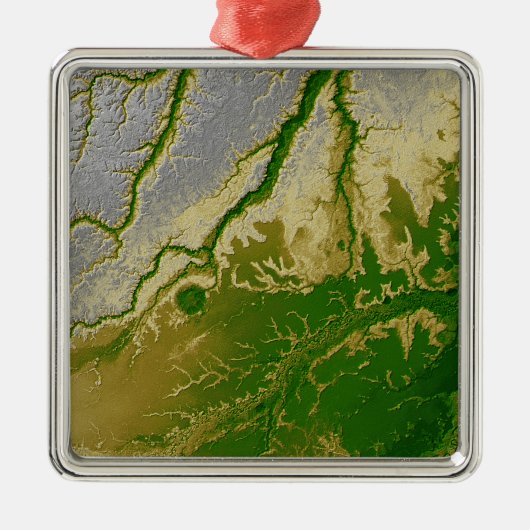 Ornement En Métal L'Amazonie bolivienne (Devant)