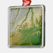 Ornement En Métal L'Amazonie bolivienne (Gauche)