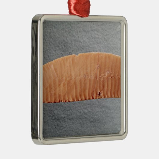 Ornement En Métal Lame de couteau (Droite)