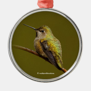 Ornement En Métal Le colibri d'Anna sur Trumpetvine écarlate