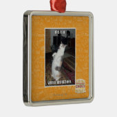 Ornement En Métal le DIS est u (Droite)