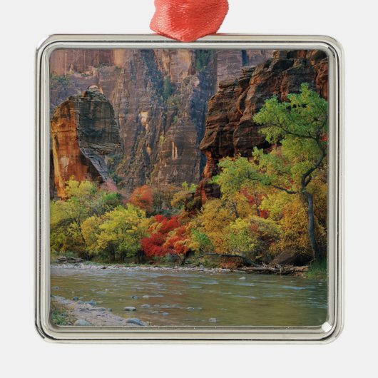 Ornement En Métal Le feuillage d'automne le long de la rivière Virgi (Devant)