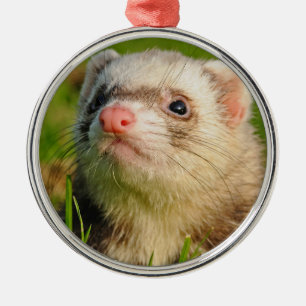 Ornement En Métal Le Pet Ferret
