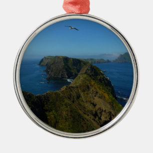 Ornement En Métal Le point d'inspiration d'Anacapa I dans les îles d