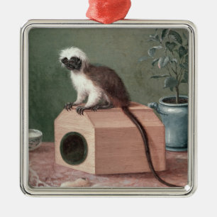 Ornement En Métal Le singe préféré de Karl Linnaeus