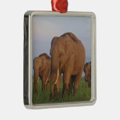 Ornement En Métal Les éléphants indiens dans les Prairies (Droite)