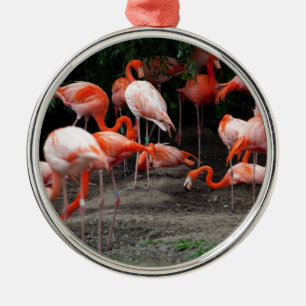 Ornement En Métal Les oiseaux de plage tropicaux Flamants roses de d