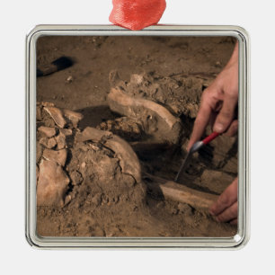 Ornement En Métal Les restes humains