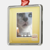 Ornement En Métal L'espace personnel (Gauche)