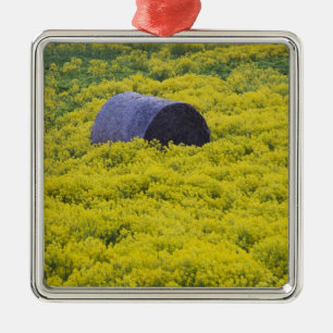 Ornement En Métal Lettonie, Nord-Est de la Lettonie, région de Vidze