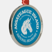 Ornement En Métal L'île d'Assateague (poney) (Droite)