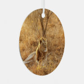 Ornement En Métal Lion (Avant droite)