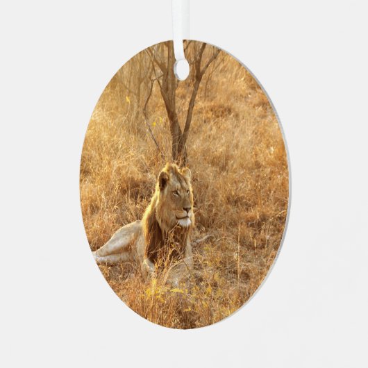 Ornement En Métal Lion (Avant gauche)