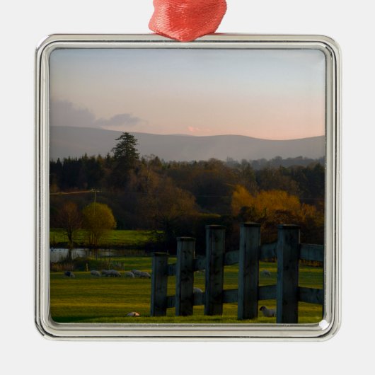 Ornement En Métal L'Irlande est Belle (Devant)