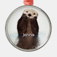 Loutre velue mignonne dans l'eau avec le nom