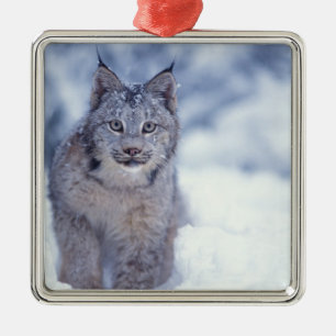 Ornement En Métal Lynx dans la neige au pied des collines