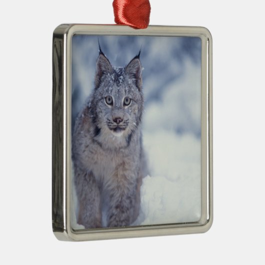 Ornement En Métal Lynx dans la neige dans les contreforts (Droite)