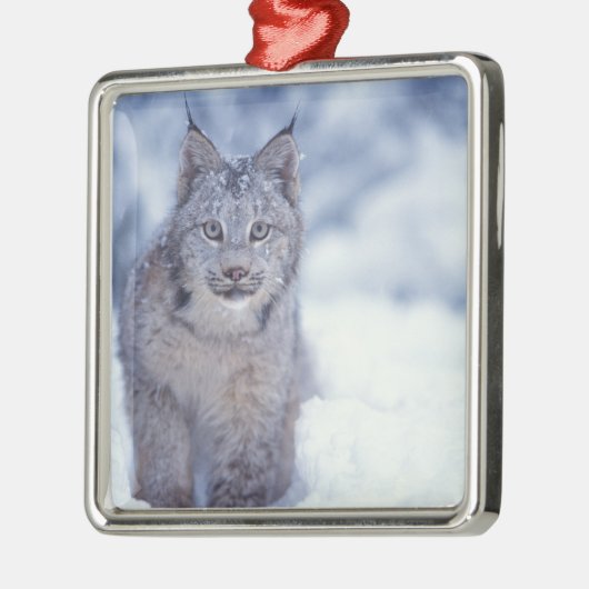 Ornement En Métal Lynx dans la neige dans les contreforts (Gauche)