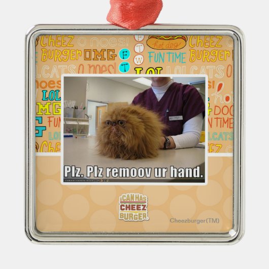 Ornement En Métal Main d'ur de remoov de PLZ (Devant)