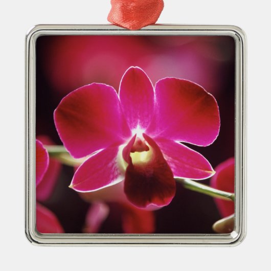 Ornement En Métal Malaisie, Orchidée (Devant)