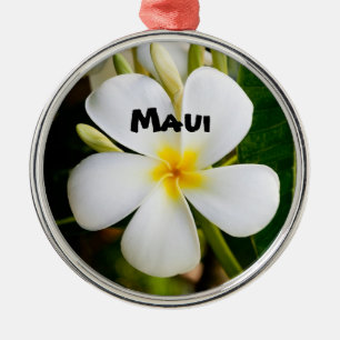 Ornement En Métal Maui spectaculaire