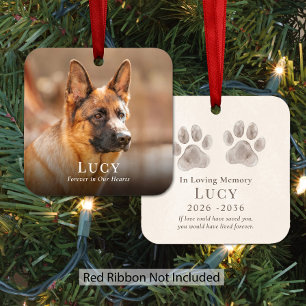 Ornement En Métal Mémoire personnalisée de chien de Noël Photo