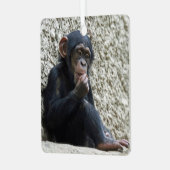 Ornement En Métal Mer de Chimpané 013 (Avant gauche)