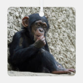 Ornement En Métal Mer de Chimpané 013 (Verso)