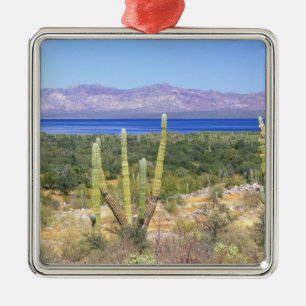 Ornement En Métal Mexique, Basse-Californie du Sud, Cardon Cactus à