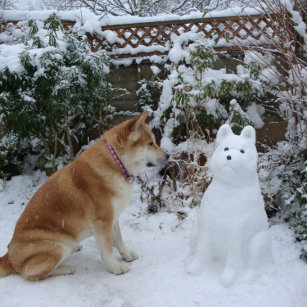 Ornement En Métal mignon akita assis avec le chien de neige