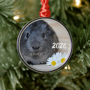 Ornement En Métal Mignon Cobaye Smooth Silver Agouti et Pâquerettes