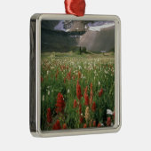 ORNEMENT EN MÉTAL MONT TIMPANOGOS WILDERNESS, UTU, (Droite)