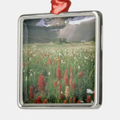 ORNEMENT EN MÉTAL MONT TIMPANOGOS WILDERNESS, UTU, (Gauche)