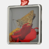 Ornement En Métal Moth (Gauche)