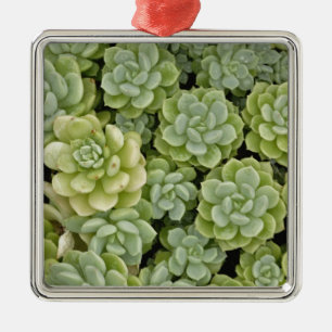 Ornement En Métal Motif de plante Sedum