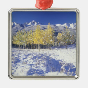 Ornement En Métal N.A., États-Unis, Colorado, San Juan Mts Neige fra