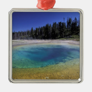Ornement En Métal NA, États-Unis, Wyoming, Parc national de Yellowst
