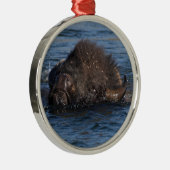Ornement En Métal natation de bison (Droite)