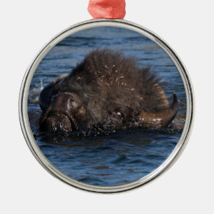 Ornement En Métal natation de bison