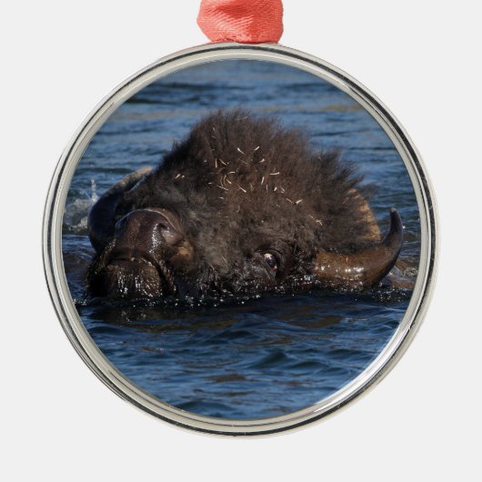 Ornement En Métal natation de bison (Devant)