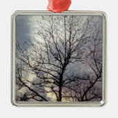 ornement en métal naturel (Devant)