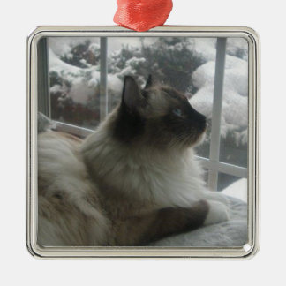Ornement En Métal Neige de l'Himalaya Kitty Ornamen de Noël de chat